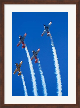 Framed Aerobatic display by North American Harvards, or T-6 Texans, or SNJ, Airshow Print
