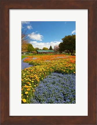 Framed Flower garden, Pollard Park, Blenheim, Marlborough, South Island, New Zealand (vertical) Print