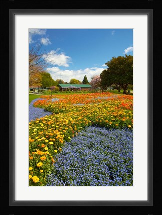 Framed Flower garden, Pollard Park, Blenheim, Marlborough, South Island, New Zealand (vertical) Print