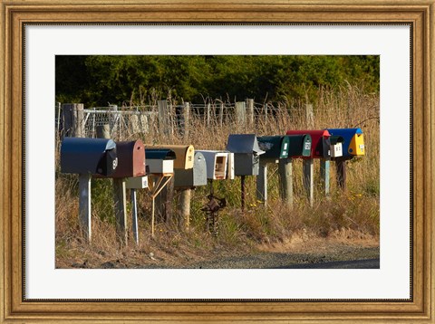 Framed Rural Letterboxes, Otago Peninsula, Dunedin, South Island, New Zealand Print