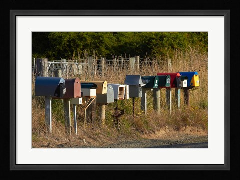 Framed Rural Letterboxes, Otago Peninsula, Dunedin, South Island, New Zealand Print