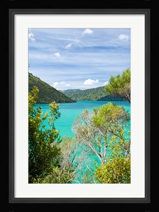 Framed New Zealand, South Island, Marlborough, Nydia Bay Print