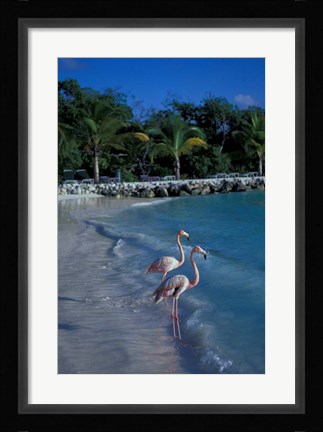 Framed Sonesta Island,  Aruba, Caribbean Print
