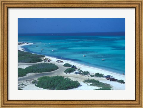 Framed Palm Beach,  Aruba, Caribbean Print