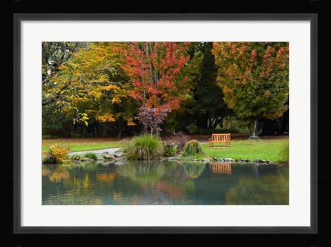 Framed Autumn Color in Hagley Park, Christchurch, Canterbury, New Zealand Print
