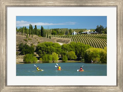 Framed Kayakers and vineyard, Bannockburn Inlet, Lake Dunstan, Central Otago, South Island, New Zealand Print