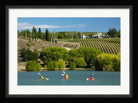 Framed Kayakers and vineyard, Bannockburn Inlet, Lake Dunstan, Central Otago, South Island, New Zealand Print