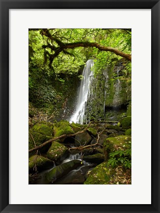 Framed Matai Falls, Catlins, South Otago, South Island, New Zealand Print