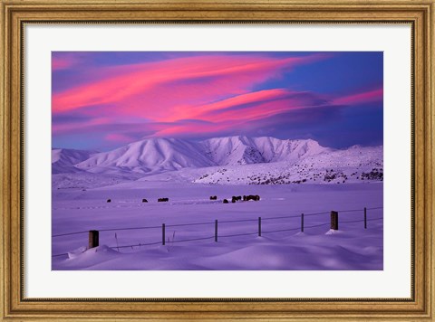 Framed Sunset over Hawkdun Range and farmland, Maniototo, Otago, New Zealand Print