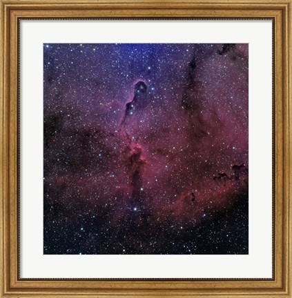 Framed Elephant Trunk Nebula Print