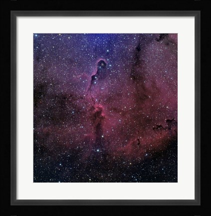 Framed Elephant Trunk Nebula Print