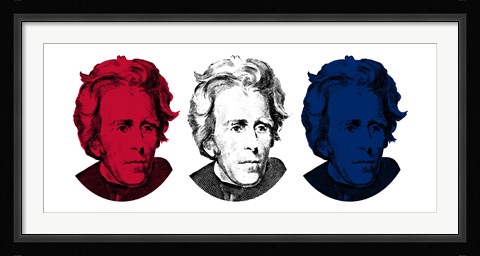 Framed Andrew Jackson in Red, White and Blue Print