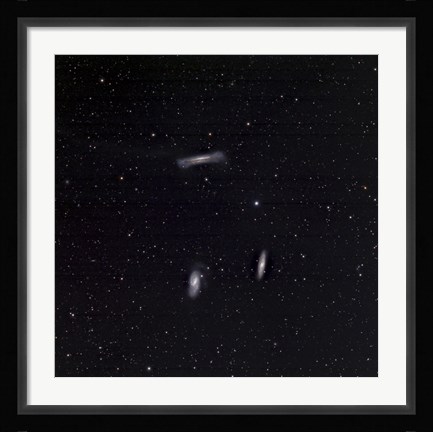 Framed Leo Triplet Print