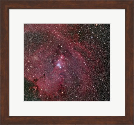 Framed Cone and Christmas Tree Nebula Print