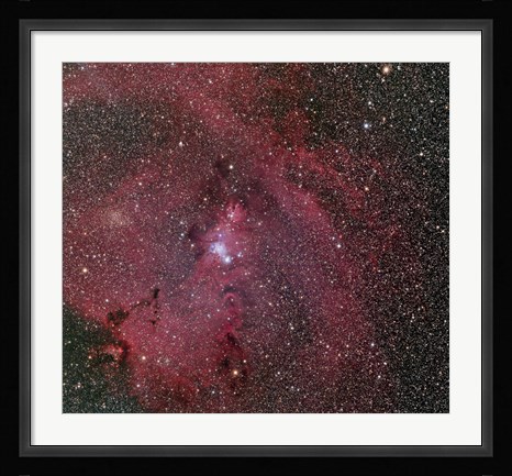 Framed Cone and Christmas Tree Nebula Print