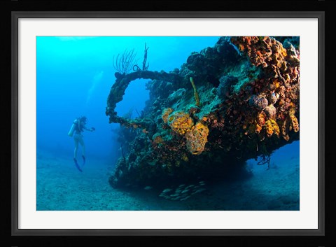 Framed Scuba diver, RMS Rhone wreck, British Virgin Isl Print