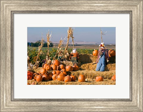 Framed Scarecrows, Fruitland, Idaho Print