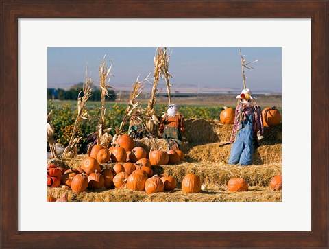 Framed Scarecrows, Fruitland, Idaho Print