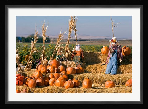Framed Scarecrows, Fruitland, Idaho Print