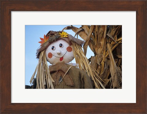 Framed Scarecrow and Dead Corn Husks, Carnation, Washington Print