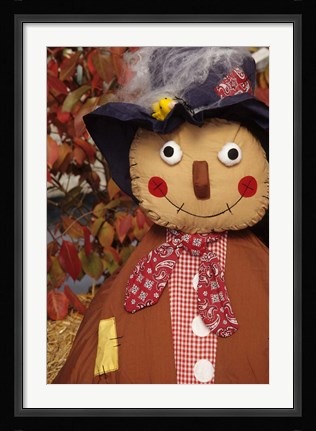 Framed Stuffed Scarecrow on Display at Halloween, Washington Print