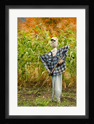 Framed New York, Cooperstown, Farmers Museum Fall cornfield with scarecrow Print