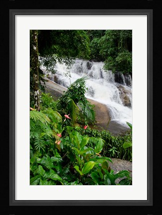 Framed Rainforest waterfall, Serra da Bocaina NP, Parati, Brazil (vertical) Print