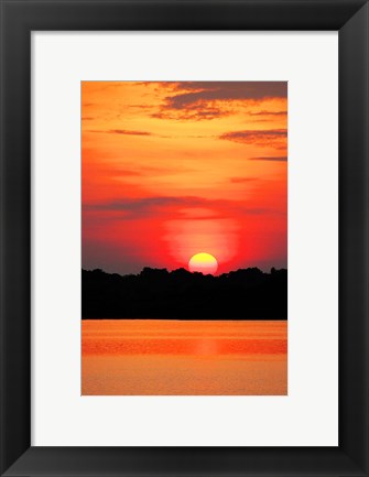 Framed Amazon Jungle, Brazil, Sunset Print