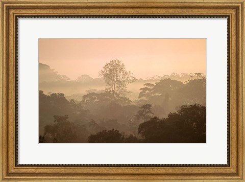 Framed Mist over Canopy, Amazon, Ecuador Print
