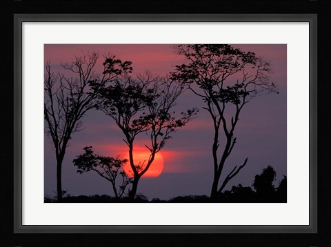 Framed Amazonia Sunset Print