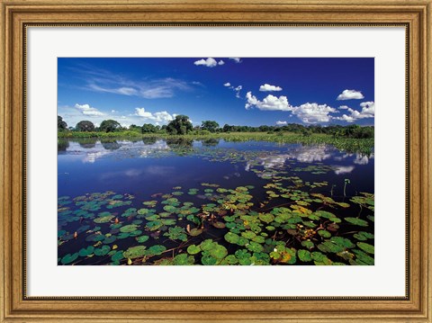 Framed Waterways in Pantanal, Brazil Print