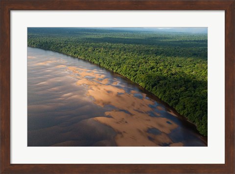 Framed Essequibo River, between the Orinoco and Amazon, Iwokrama Reserve, Guyana Print