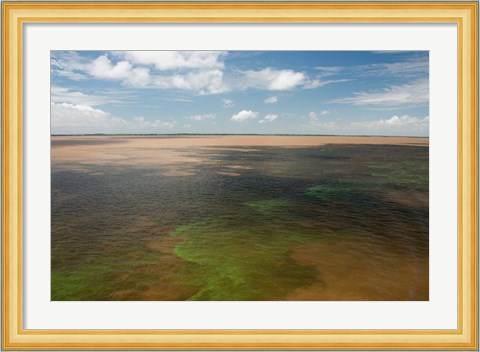 Framed Brazil, Amazon River, Algae bloom Print