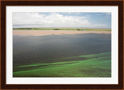 Framed Brazil, Amazon River, Santarem Meeting of the Waters Algae bloom Print