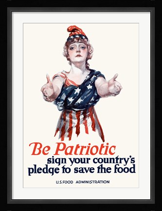Framed Be Patriotic Print