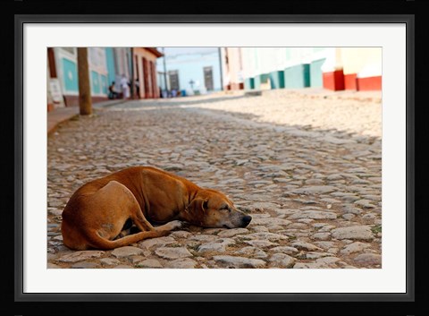 Framed Cuba, Trinidad Dog sleeping in the street Print