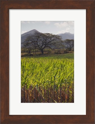 Framed Cuba, San Francisco, Cienfuegos-Trinidad coast Print