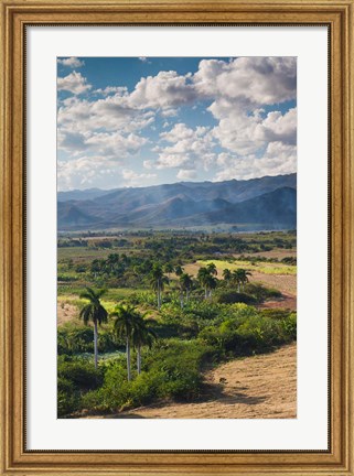 Framed Cuba, Trinidad, Valle de los Ingenios, Valley Print