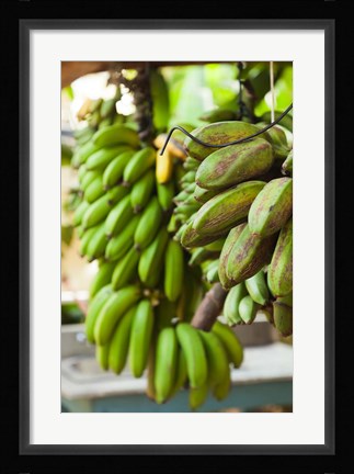 Framed Cuba, Vinales, El Jardin de Caridad, Bananas Print