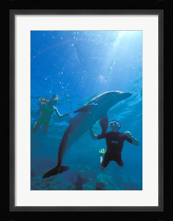 Framed Caribbean Sea, Curacao Print