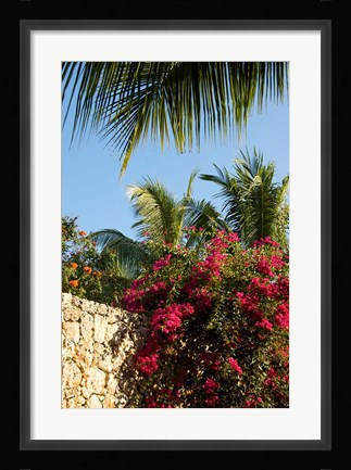 Framed Viva Wyndham Dominicus Beach, Bayahibe, Dominican Republic Print