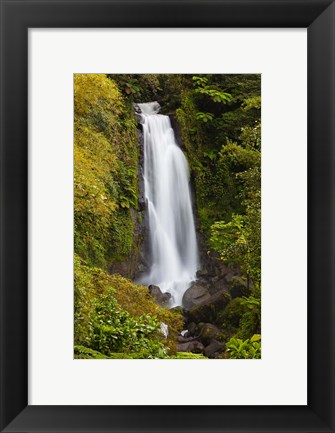Framed Dominica, Roseau, Trafalgar Waterfalls Print