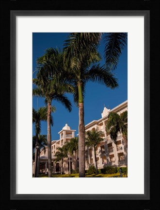 Framed Palm tree, Riu Palace, Bavaro Beach, Higuey, Punta Cana, Dominican Republic Print