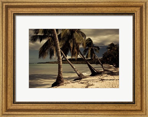 Framed Playa Rincon beach, Las Galeras, Samana Peninsula, Dominican Republic Print