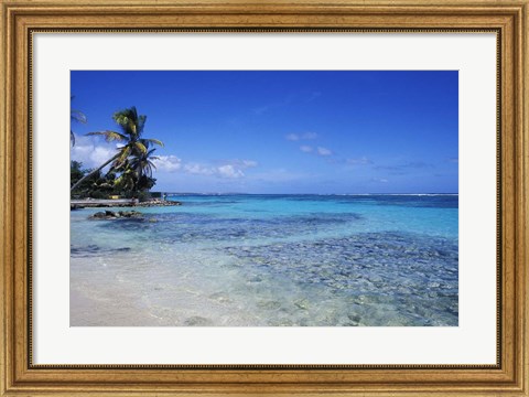 Framed Beach and Palms in Sainte Anne, Guadeloupe Print