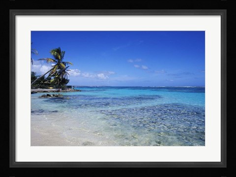 Framed Beach and Palms in Sainte Anne, Guadeloupe Print