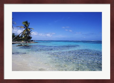 Framed Beach and Palms in Sainte Anne, Guadeloupe Print