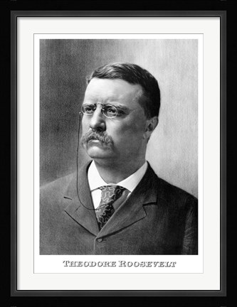 Framed Younger President Theodore Roosevelt Print