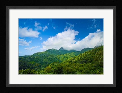 Framed Puerto Rico, El Yunque National Forest, Rainforest Print