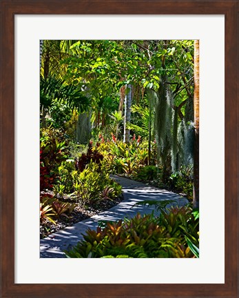 Framed Nature Trail in Charlestown on Nevis, West Indies Print